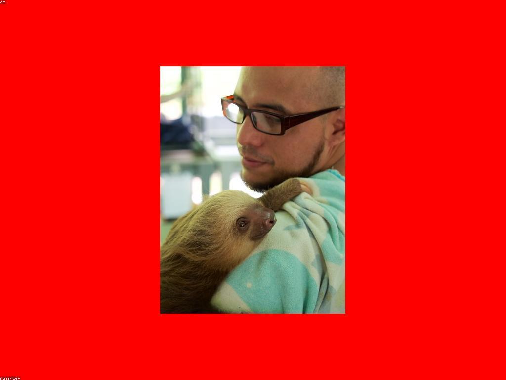 សមិទ្ធិផលនៃស្លត