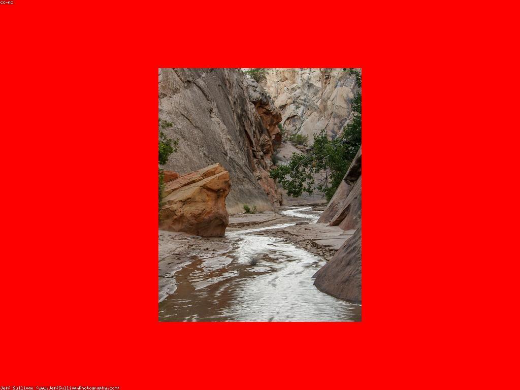 យុទ្ធសាស្ត្រយ៉ាងមានប្រសិទ្ធភាពសម្រាប់ការគ្រប់គ្រងស្លត