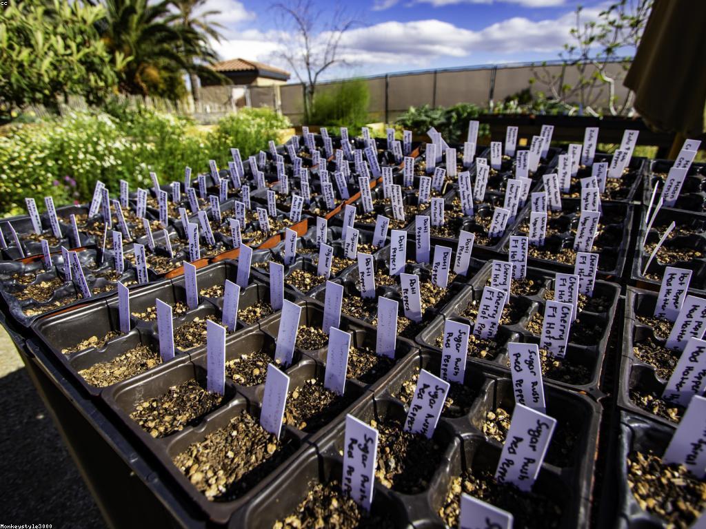 សមិទ្ធិផលនៃស្លត