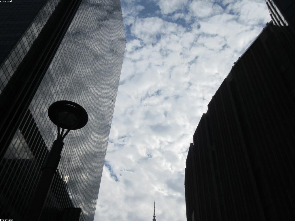 ព័ត៌មានស្លតថ្មីក្នុងខែវិច្ឆិកា ឆ្នាំ2023