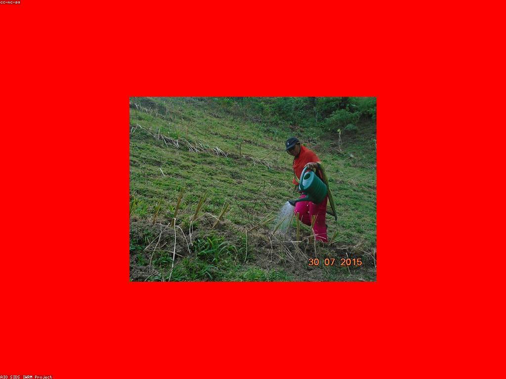 ការគ្រប់គ្រងស្លត: យុទ្ធសាស្ត្រដើម្បីជោគជ័យ